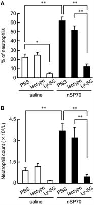 Neutrophil Depletion Exacerbates Pregnancy Complications, Including Placental Damage, Induced by Silica Nanoparticles in Mice